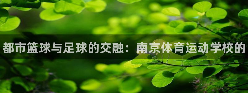 JJB竞技宝官网下载招商电话地址是多少：都市篮球与足