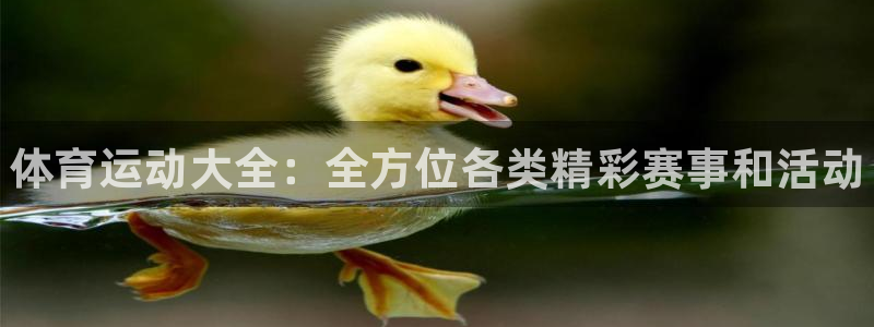 海南JJB竞技宝官网下载：体育运动大全：全方位各类精