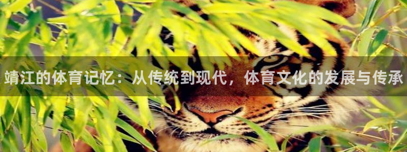 JJB竞技宝官网下载招商电话号码：靖江的体育记忆：从传统到现