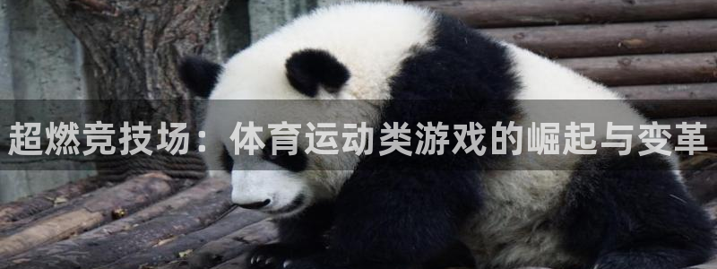 海南JJB竞技宝官网下载发展怎么样：超燃竞技场：体育运动类游