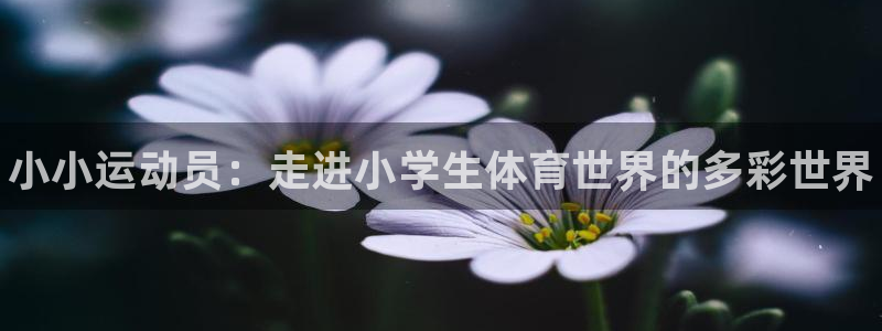 JJB竞技宝官网下载平台注册：小小运动员：走进小学生
