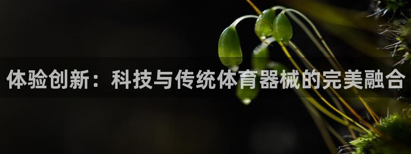JJB竞技宝官方正版app娱乐首页网站大全：体验创新