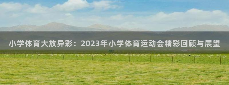 JJB竞技宝官方正版app开户：小学体育大放异彩：2023年