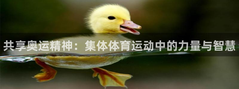 JJB竞技宝官网下载平台APP：共享奥运精神：集体体育运动中