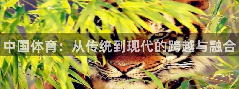 注册JJB竞技宝官方正版app