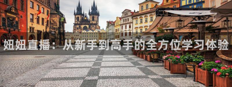 松鼠体育在线直播视频：妞妞直播：从新手到高手的全方位学习体验